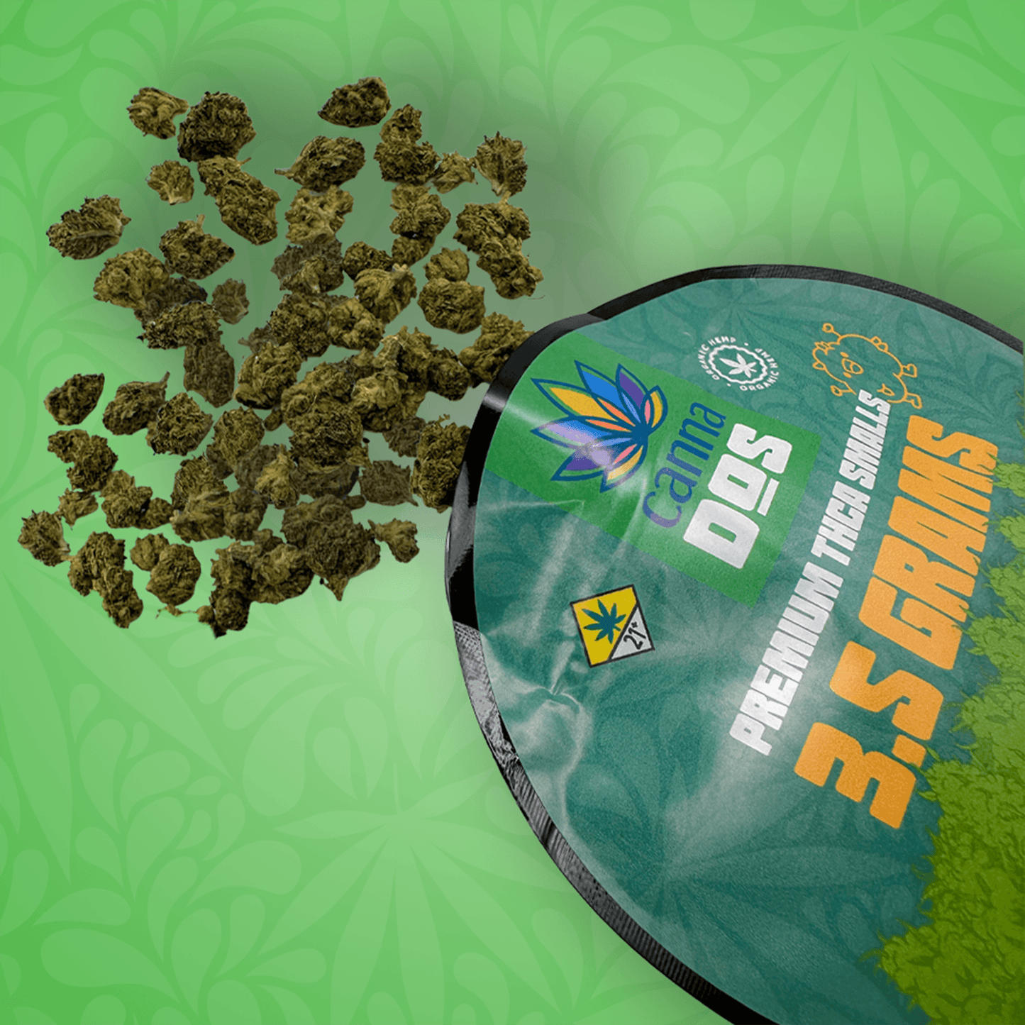 Canna Dos House Smalls