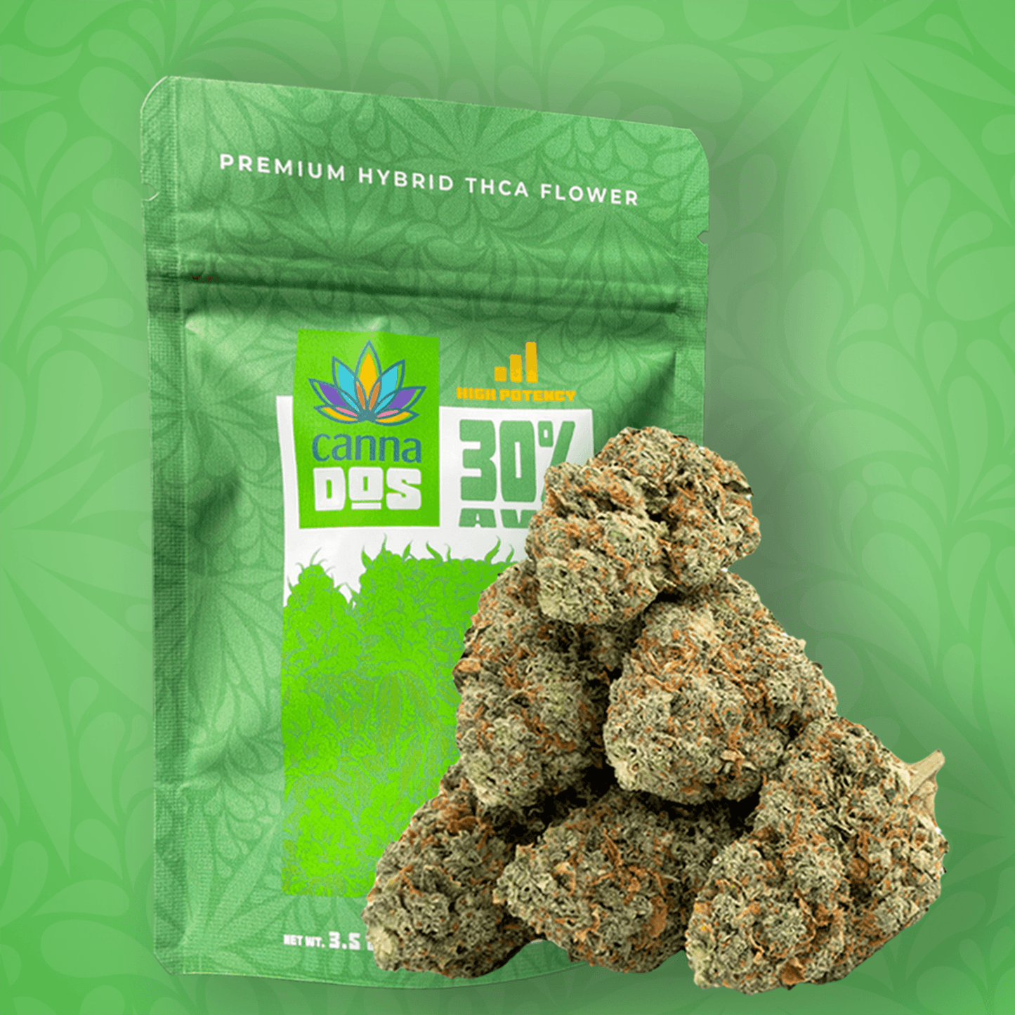 Canna Dos House Hybrid