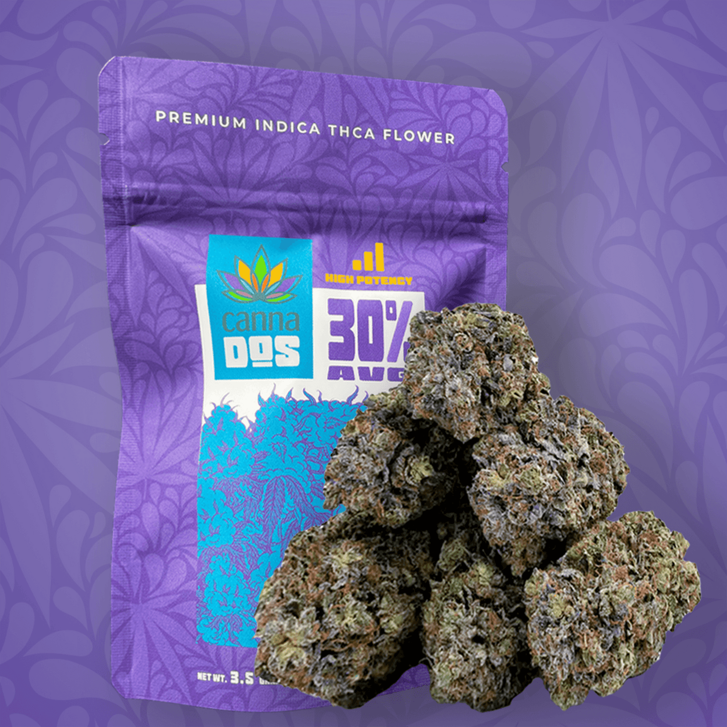 Canna Dos House Indica