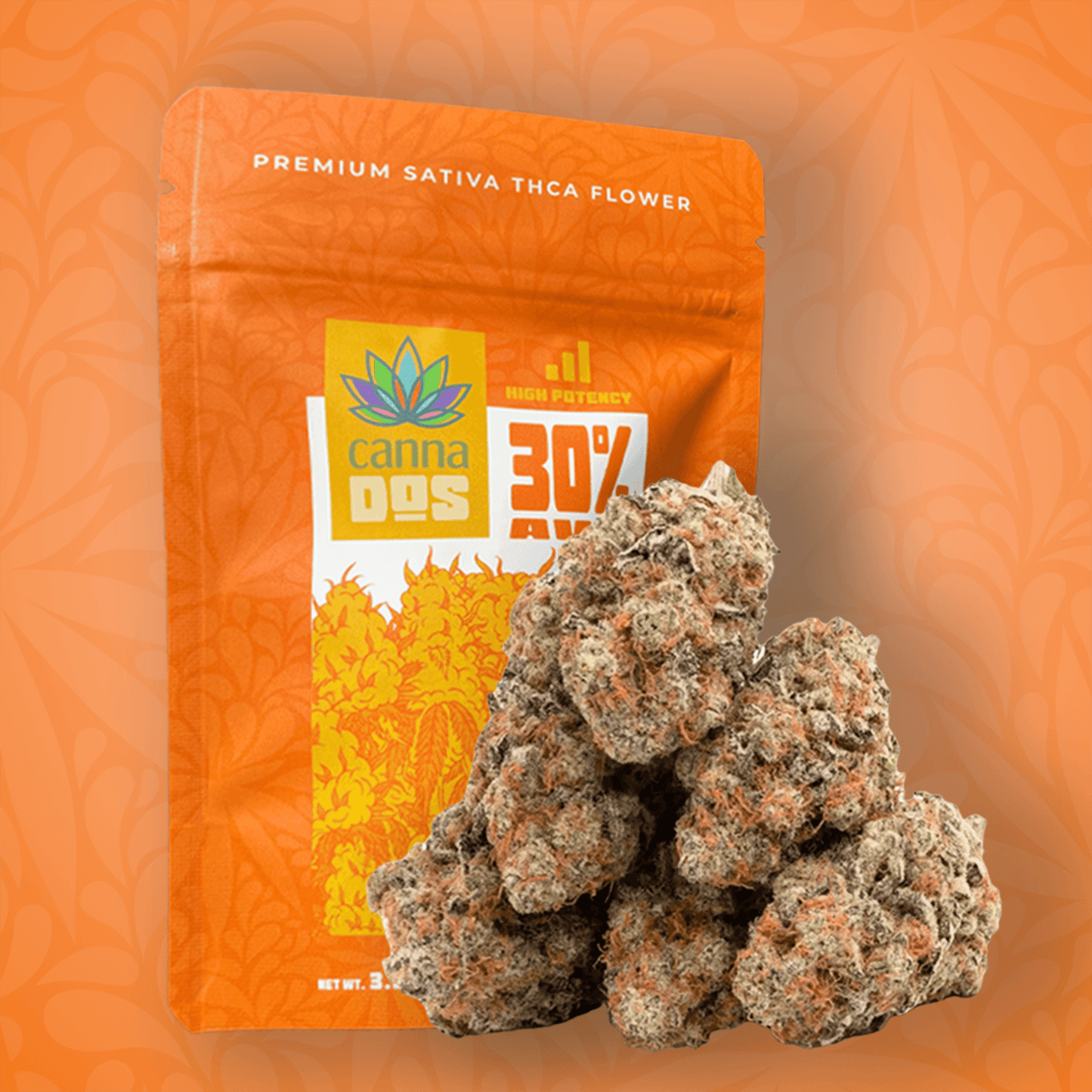 Canna Dos House Sativa