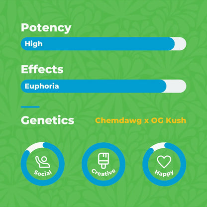 Canna Dos House Hybrid