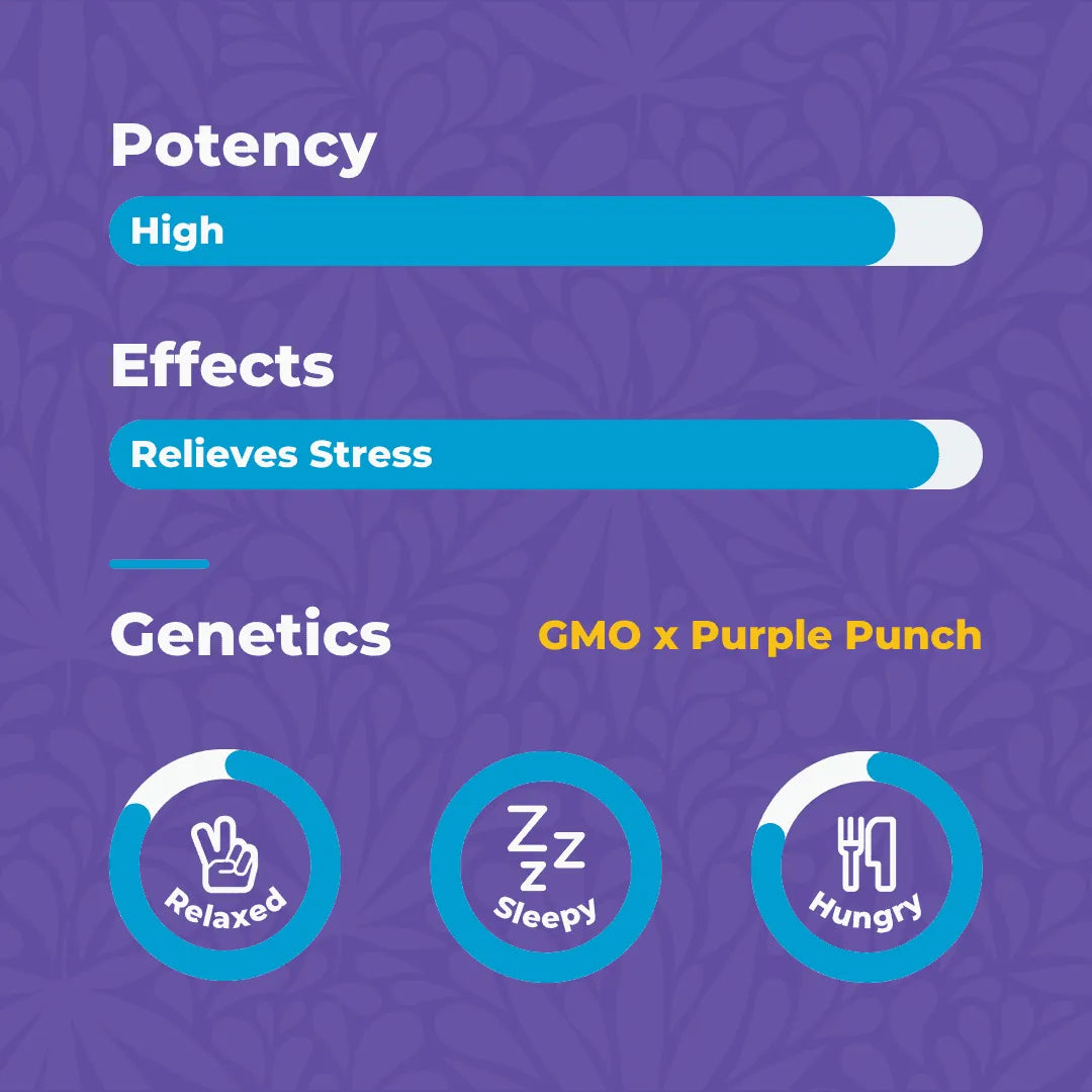 Canna Dos House Indica