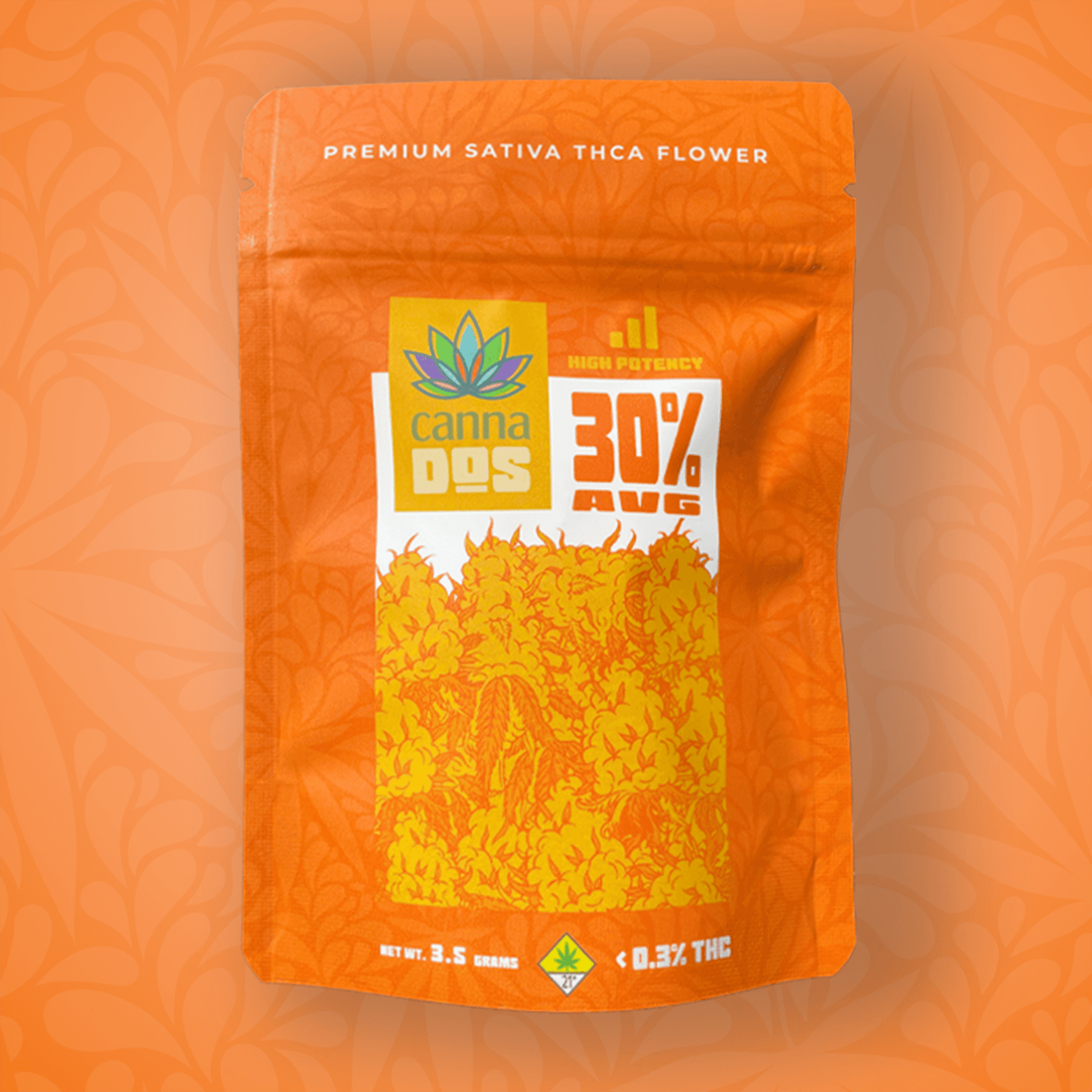 Canna Dos House Sativa