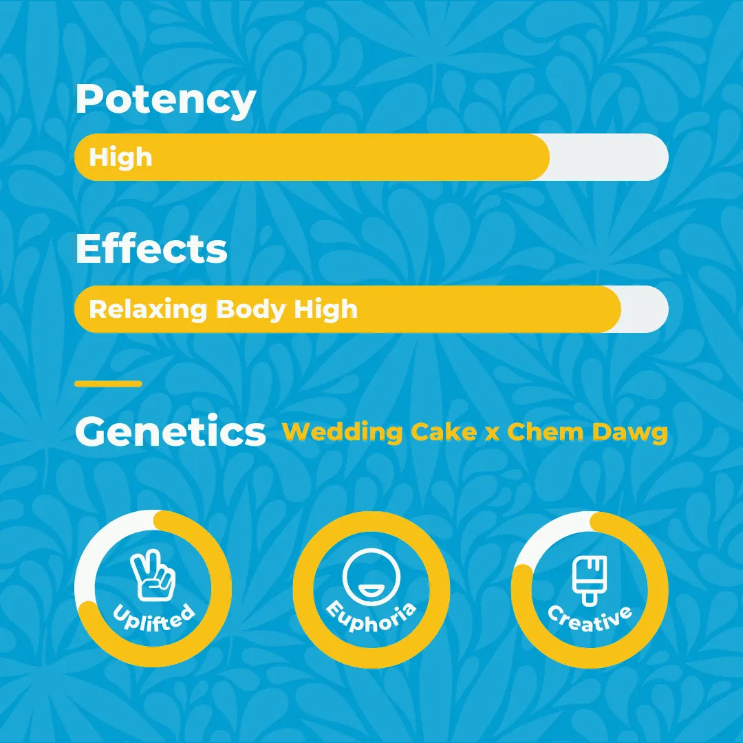 Canna Dos King Size Pre-Roll